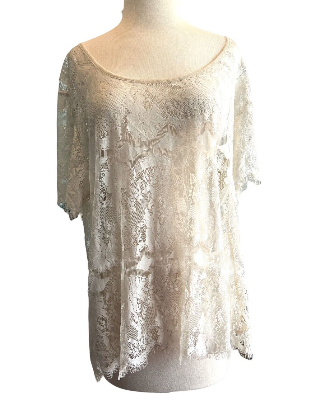 Large Fossil Lace Short Sleeve Cream Blouse